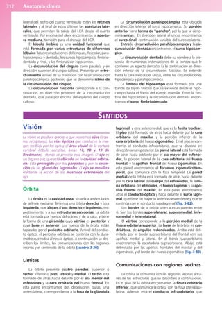 Anatomía Clínica Pró.pdf