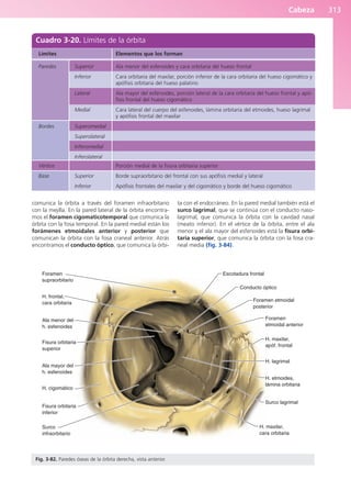 Anatomía Clínica Pró.pdf