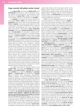 Anatomía Clínica Pró.pdf