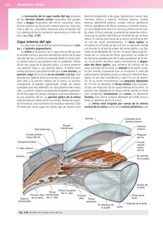 Anatomía Clínica Pró.pdf