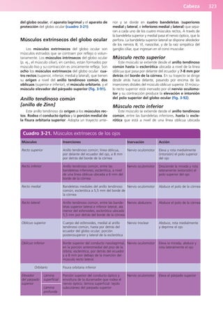 Anatomía Clínica Pró.pdf