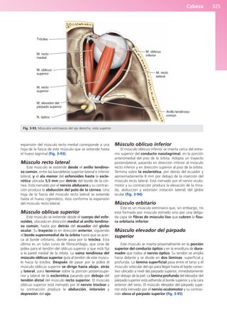 Anatomía Clínica Pró.pdf