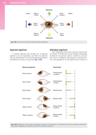 Anatomía Clínica Pró.pdf