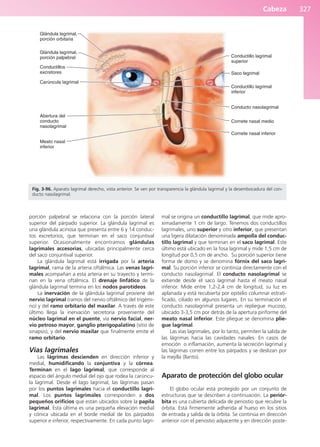 Anatomía Clínica Pró.pdf