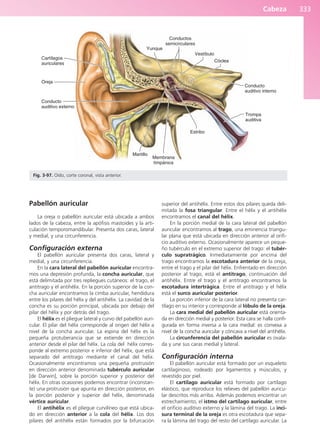 Anatomía Clínica Pró.pdf