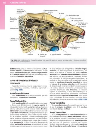 Anatomía Clínica Pró.pdf