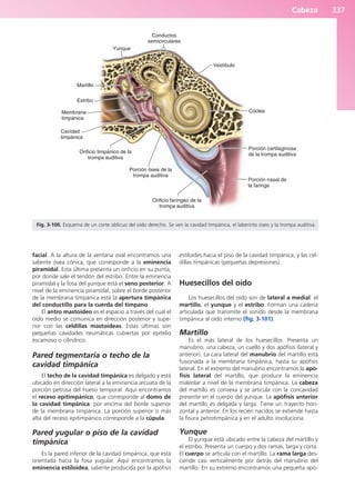 Anatomía Clínica Pró.pdf