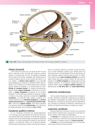 Anatomía Clínica Pró.pdf
