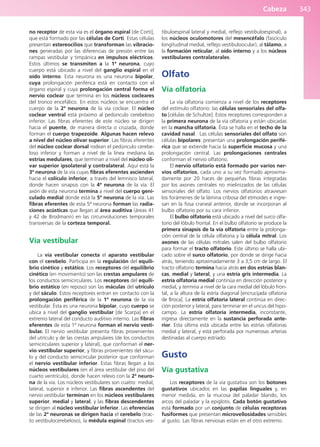 Anatomía Clínica Pró.pdf