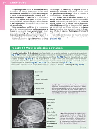 Anatomía Clínica Pró.pdf