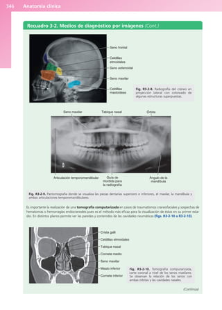 Anatomía Clínica Pró.pdf