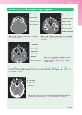 Anatomía Clínica Pró.pdf