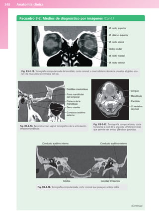 Anatomía Clínica Pró.pdf