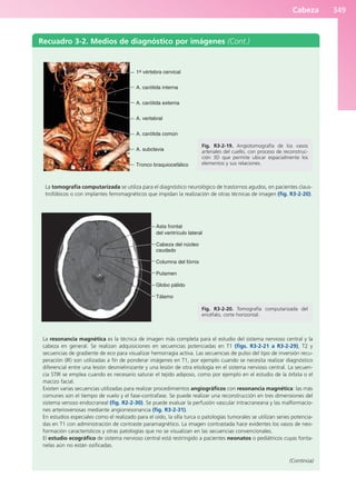 Anatomía Clínica Pró.pdf