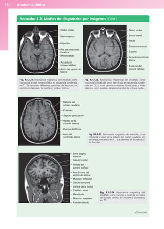 Anatomía Clínica Pró.pdf