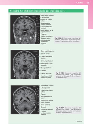Anatomía Clínica Pró.pdf
