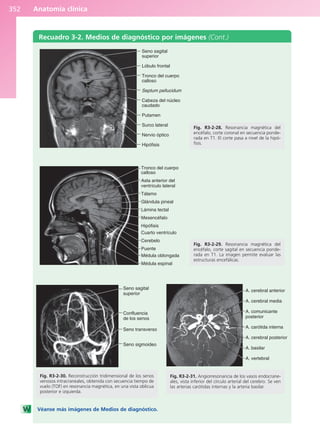 Anatomía Clínica Pró.pdf