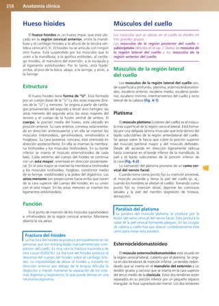 Anatomía Clínica Pró.pdf