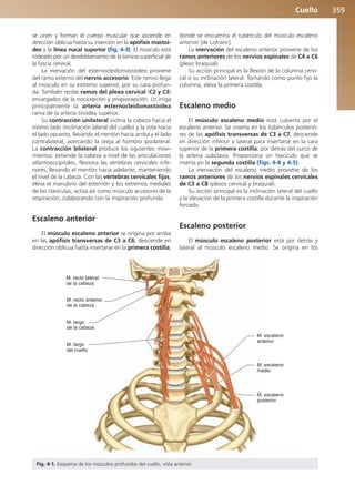 Anatomía Clínica Pró.pdf