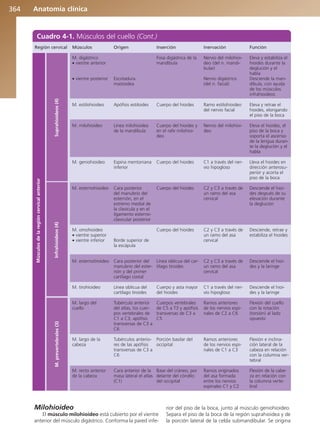 Anatomía Clínica Pró.pdf