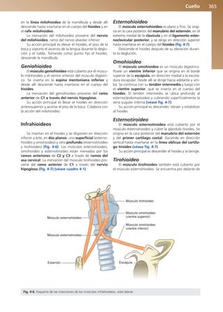 Anatomía Clínica Pró.pdf