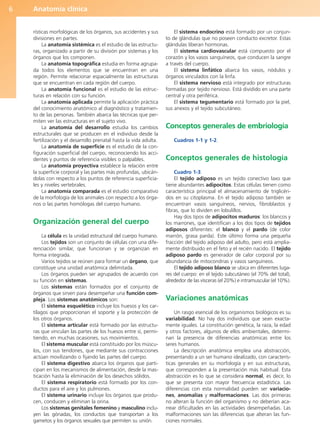 Anatomía clínica
6
rísticas morfológicas de los órganos, sus accidentes y sus
divisiones en partes.
La anatomía sistémica es el estudio de las estructu-
ras, organizado a partir de su división por sistemas y los
órganos que los componen.
La anatomía topográfica estudia en forma agrupa-
da todos los elementos que se encuentran en una
región. Permite relacionar espacialmente las estructuras
que se encuentran en cada región del cuerpo.
La anatomía funcional es el estudio de las estruc-
turas en relación con su función.
La anatomía aplicada permite la aplicación práctica
del conocimiento anatómico al diagnóstico y tratamien-
to de las personas. También abarca las técnicas que per-
miten ver las estructuras en el sujeto vivo.
La anatomía del desarrollo estudia los cambios
estructurales que se producen en el individuo desde la
fertilización y el desarrollo prenatal hasta la vida adulta.
La anatomía de superficie es el estudio de la con-
figuración superficial del cuerpo, reconociendo los acci-
dentes y puntos de referencia visibles o palpables.
La anatomía proyectiva establece la relación entre
la superficie corporal y las partes más profundas, ubicán-
dolas con respecto a los puntos de referencia superficia-
les y niveles vertebrales.
La anatomía comparada es el estudio comparativo
de la morfología de los animales con respecto a los órga-
nos o las partes homólogas del cuerpo humano.
Organización general del cuerpo
La célula es la unidad estructural del cuerpo humano.
Los tejidos son un conjunto de células con una dife-
renciación similar, que funcionan y se organizan en
forma integrada.
Varios tejidos se reúnen para formar un órgano, que
constituye una unidad anatómica delimitada.
Los órganos pueden ser agrupados de acuerdo con
su función en sistemas.
Los sistemas están formados por el conjunto de
órganos que sirven para desempeñar una función com-
pleja. Los sistemas anatómicos son:
El sistema esquelético incluye los huesos y los car-
tílagos que proporcionan el soporte y la protección de
los otros órganos.
El sistema articular está formado por las estructu-
ras que vinculan las partes de los huesos entre sí, permi-
tiendo, en muchas ocasiones, sus movimientos.
El sistema muscular está constituido por los múscu-
los, con sus tendones, que mediante sus contracciones
actúan movilizando o fijando las partes del cuerpo.
El sistema digestivo abarca los órganos que parti-
cipan en los mecanismos de alimentación, desde la mas-
ticación hasta la eliminación de los desechos sólidos.
El sistema respiratorio está formado por los con-
ductos para el aire y los pulmones.
El sistema urinario incluye los órganos que produ-
cen, conducen y eliminan la orina.
Los sistemas genitales femenino y masculino inclu-
yen las gónadas, los conductos que transportan a los
gametos y los órganos sexuales que permiten su unión.
El sistema endocrino está formado por un conjun-
to de glándulas que no poseen conducto excretor. Estas
glándulas liberan hormonas.
El sistema cardiovascular está compuesto por el
corazón y los vasos sanguíneos, que conducen la sangre
a través del cuerpo.
El sistema linfático abarca los vasos, nódulos y
órganos vinculados con la linfa.
El sistema nervioso está integrado por estructuras
formadas por tejido nervioso. Está dividido en una parte
central y otra periférica.
El sistema tegumentario está formado por la piel,
sus anexos y el tejido subcutáneo.
Conceptos generales de embriología
Cuadros 1-1 y 1-2.
Conceptos generales de histología
Cuadro 1-3.
El tejido adiposo es un tejido conectivo laxo que
tiene abundantes adipocitos. Estas células tienen como
característica principal el almacenamiento de triglicéri-
dos en su citoplasma. En el tejido adiposo también se
encuentran vasos sanguíneos, nervios, fibroblastos y
fibras, que lo dividen en lobulillos.
Hay dos tipos de adipocitos maduros: los blancos y
los marrones, que identifican a los dos tipos de tejidos
adiposos diferentes: el blanco y el pardo (de color
marrón, grasa parda). Este último forma una pequeña
fracción del tejido adiposo del adulto, pero está amplia-
mente distribuido en el feto y el recién nacido. El tejido
adiposo pardo es generador de calor corporal por su
abundancia de mitocondrias y vasos sanguíneos.
El tejido adiposo blanco se ubica en diferentes luga-
res del cuerpo: en el tejido subcutáneo (el 70% del total),
alrededor de las vísceras (el 20%) e intramuscular (el 10%).
Variaciones anatómicas
Un rasgo esencial de los organismos biológicos es su
variabilidad. No hay dos individuos que sean exacta-
mente iguales. La constitución genética, la raza, la edad
y otros factores, algunos de ellos ambientales, determi-
nan la presencia de diferencias anatómicas entre los
seres humanos.
La descripción anatómica emplea una abstracción,
presentando a un ser humano idealizado, con caracterís-
ticas generales en su morfología y en sus estructuras,
que corresponden a la presentación más habitual. Esta
abstracción es lo que se considera normal, es decir, lo
que se presenta con mayor frecuencia estadística. Las
diferencias con esta normalidad pueden ser variacio-
nes, anomalías y malformaciones. Las dos primeras
no alteran la función del organismo y no deberían aca-
rrear dificultades en las actividades desempeñadas. Las
malformaciones son las diferencias que alteran las fun-
ciones normales.
b027-01.qxd 7/14/11 12:48 PM Page 6
ERRNVPHGLFRVRUJ
 