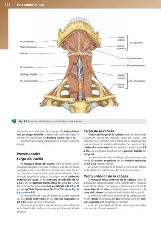 Anatomía Clínica Pró.pdf