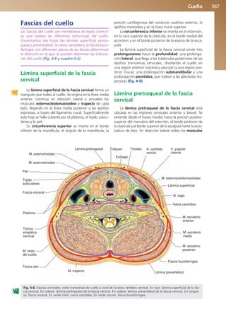 Anatomía Clínica Pró.pdf
