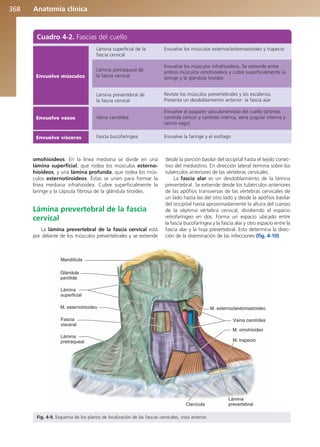 Anatomía Clínica Pró.pdf