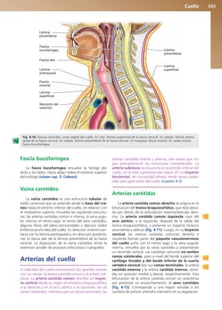 Anatomía Clínica Pró.pdf