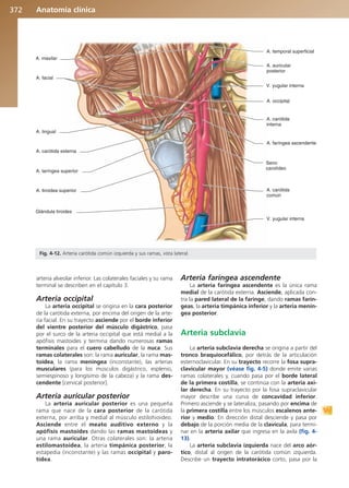 Anatomía Clínica Pró.pdf