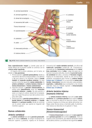 Anatomía Clínica Pró.pdf