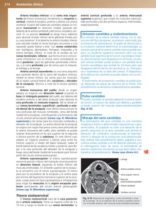 Anatomía Clínica Pró.pdf