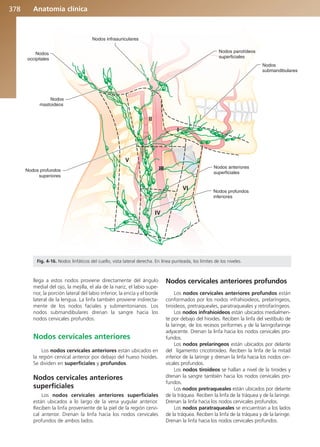 Anatomía Clínica Pró.pdf