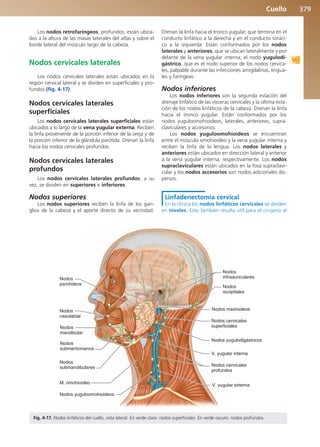 Anatomía Clínica Pró.pdf