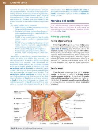 Anatomía Clínica Pró.pdf