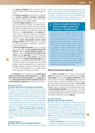 Anatomía Clínica Pró.pdf