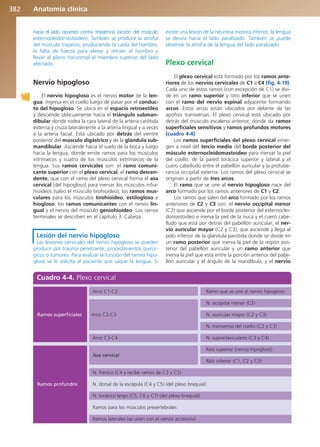 Anatomía Clínica Pró.pdf