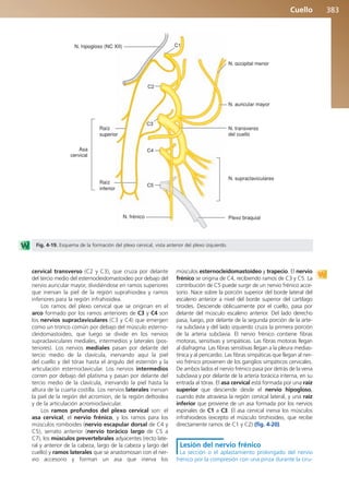 Anatomía Clínica Pró.pdf