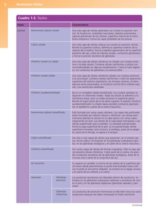 Anatomía clínica
8
Cuadro 1-3. Tejidos
Tejido
Epitelial Pavimentoso (plano) simple
Cúbico simple
Cilíndrico simple no ciliado
Cilíndrico simple ciliado
Cilíndrico seudoestratificado
Pavimentoso (plano) estratificado
Cúbico estratificado
Cilíndrico estratificado
De transición
Glandular Glándulas
exocrinas
Glándulas
endocrinas
Características
Una sola capa de células aplanadas con núcleo en posición cen-
tral. Se localiza en: endotelios vasculares, alvéolos pulmonares,
cápsula glomerular de los riñones, superficie interna de la mem-
brana timpánica. Forma las capas epiteliales de las serosas
Una sola capa de células cúbicas con núcleo en posición central.
Reviste la superficie ovárica, delimita la superficie anterior de la
cápsula del cristalino, forma el epitelio pigmentario de la superficie
posterior del ojo, cubre los túbulos renales, conductos glandulares
y forma la porción secretora de glándulas
Una sola capa de células cilíndricas no ciliadas con núcleos próxi-
mos a la base celular. Contiene células calciformes y células con
microvellosidades en algunas localizaciones. Cubre el tubo digesti-
vo, los conductos de glándulas y la vesícula biliar
Una sola capa de células cilíndricas ciliadas con núcleos próximos
a la zona basal. Contiene células calciformes. Cubre los segmentos
superiores del sistema respiratorio, las trompas uterinas, el útero,
algunos senos paranasales, el conducto central de la médula espi-
nal, y los ventrículos cerebrales
No es un verdadero tejido estratificado. Los núcleos celulares se
disponen en diferentes niveles. Todas las células se adhieren a la
membrana basal, pero no todas alcanzan la superficie apical.
Reviste la mayor parte de la vía aérea superior. El epitelio cilíndrico
seudoestratificado no ciliado tapiza grandes conductos glandula-
res, el epidídimo y parte de la uretra masculina.
Está formado por varias capas celulares. Las capas más profundas
están formadas por células cúbicas y cilíndricas. Las células pavi-
mentosas (planas) se ubican en la capa apical y en varias capas
subyacentes en ésta. Las células de la capa basal reemplazan a las
células superficiales que se pierden. La variedad queratinizada
forma la capa superficial de la piel. La no queratinizada reviste
superficies húmedas como la boca, el esófago, parte de la epiglo-
tis, parte de la faringe, la vagina y la lengua
Son dos o más capas de células que presentan, en el estrato api-
cal, forma cúbica. Se localizan en las glándulas sudoríparas adul-
tas, en las glándulas esofágicas y en parte de la uretra masculina
Son varias capas de células de formas irregulares. Sólo la capa api-
cal presenta células cilíndricas. Cubre parte de la uretra, los gran-
des conductos excretores de las glándulas esofágicas, áreas de la
mucosa anal y parte de la conjuntiva del ojo
Su aspecto es variable. La forma de las células de la superficie api-
cal varían desde pavimentosas (cuando está estirado) hasta cúbi-
cas (cuando se encuentra relajado). Se localiza en la vejiga urinaria
y en parte de los uréteres y la uretra
Los productos secretorios son liberados dentro de conductos. Se
localiza en las glándulas sudoríparas sebáceas y secretoras de cera
en la piel y en las glándulas digestivas (glándulas salivales y pán-
creas)
Los productos de secreción (hormonas) se difunden hacia los vasos
sanguíneos después de haber atravesado el fluido intersticial
(Continúa)
b027-01.qxd 7/14/11 12:48 PM Page 8
ERRNVPHGLFRVRUJ
 