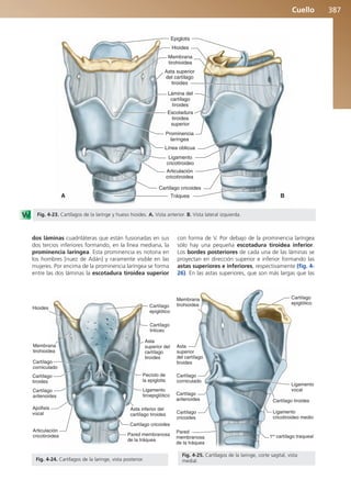 Anatomía Clínica Pró.pdf