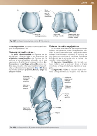 Anatomía Clínica Pró.pdf