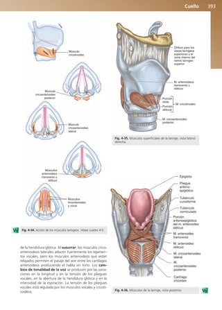 Anatomía Clínica Pró.pdf