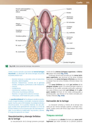 Anatomía Clínica Pró.pdf