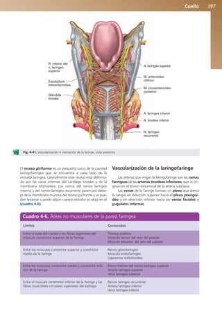 Anatomía Clínica Pró.pdf