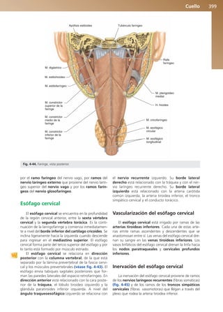 Anatomía Clínica Pró.pdf