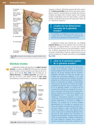 Anatomía Clínica Pró.pdf