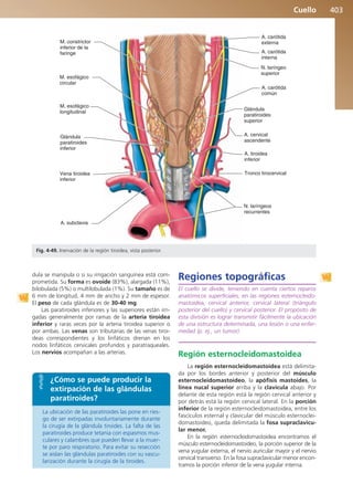 Anatomía Clínica Pró.pdf