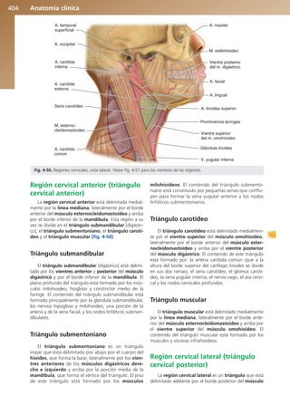 Anatomía Clínica Pró.pdf