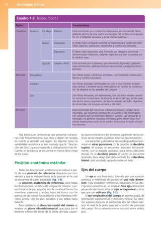 Anatomía clínica
10
Hay estructuras anatómicas que presentan variacio-
nes más frecuentemente que otras y deben ser tenidas
en cuenta al abordar una región. En algunos casos, la
variabilidad anatómica es tan marcada que la “descrip-
ción de libro”, que corresponde a la disposición más fre-
cuente, en la práctica se encuentra en menos de la mitad
de los casos.
Posición anatómica estándar
Todas las descripciones anatómicas se realizan a par-
tir de una posición de referencia dispuesta por con-
vención y que es independiente de la posición en la cual
se encuentre el sujeto estudiado (fig. 1-1).
La posición anatómica de referencia, para todas
las descripciones, se define de la siguiente manera: cuer-
po humano de pie, erguido, con la mirada al frente, los
miembros superiores a ambos lados del tronco con las
palmas de las manos hacia delante y los miembros infe-
riores juntos, con los pies paralelos y sus dedos hacia
delante.
Para establecer el plano horizontal del cráneo se
emplea un plano infraorbitomeatal, que pasa por el
extremo inferior del borde de la órbita del lado izquier-
do (punto orbitario) y los extremos superiores de los ori-
ficios de los meatos auditivos externos (punto porión).
Los pacientes y el material de estudio pueden encon-
trarse en otras posiciones. En la posición de decúbito
supino, el cuerpo se encuentra acostado horizontal-
mente, con la espalda apoyada, boca arriba [decúbito
dorsal]. En el decúbito prono el cuerpo se encuentra
acostado, boca abajo [decúbito ventral]. En el decúbito
lateral, está acostado apoyado sobre un lado.
Ejes del cuerpo
Un eje es una línea recta, formada por una sucesión
continua e indefinida de puntos en una sola dimen-
sión. Para establecer referencias espaciales en las des-
cripciones anatómicas, se emplean tres ejes dispuestos
perpendicularmente entre sí (ejes ortogonales) y otros
ejes que son oblicuos (fig. 1-2).
El eje longitudinal del cuerpo es craneocaudal, de
orientación superoinferior y dirección vertical. Su extre-
mo superior pasa por el punto más alto del cráneo (vér-
tex). A nivel de la pelvis pasa por el centro de gravedad
del cuerpo. En su extremo inferior se ubica entre ambos
pies.
Cuadro 1-3. Tejidos (Cont.)
Tejido
Muscular
Nervioso
Hueso Compacto
Líquido
Esquelético
Cardíaco
Liso
Características
Está constituido por condrocitos dispuestos en una red de fibras
elásticas dentro de una matriz extracelular. Se localiza en la epiglo-
tis, en el pabellón auricular y en la trompa auditiva
El tejido óseo compacto consiste en osteonas que contienen lami-
nillas, lagunas, osteocitos, canalículos y conductos centrales.
El tejido óseo esponjoso está formado por delgadas columnas
denominadas trabéculas, dejando espacios que son ocupados por
la médula ósea
Está formada por el plasma y por elementos figurados: glóbulos
rojos (eritrocitos), glóbulos blancos (leucocitos) y plaquetas (trom-
bocitos).
Son fibras largas, cilíndricas, estriadas, con múltiples núcleos peri-
féricos y control voluntario.
Son fibras estriadas ramificadas con uno o más núcleos en posi-
ción central. Contiene discos intercalares y el control es involunta-
rio. Se dispone en las paredes del corazón
Son fibras ahusadas, sin estriaciones, con un único núcleo central.
Su control es involuntario. Se localiza en el iris del ojo, en las pare-
des de los vasos sanguíneos, de las vías aéreas, del tubo digestivo,
de la vía biliar, de la vejiga urinaria y del útero
Está constituido por neuronas (células nerviosas) y células de la
neuroglia. Las neuronas constan de un cuerpo y de prolongacio-
nes celulares que se extienden desde el cuerpo. Las células de la
neuroglia no generan impulsos nerviosos, pero tienen otras fun-
ciones importantes como la de sostén. Se localiza en todo el siste-
ma nervioso
Elástico
Esponjoso
Sangre y linfa
Conectivo Maduro Cartílago
b027-01.qxd 7/14/11 12:48 PM Page 10
ERRNVPHGLFRVRUJ
 